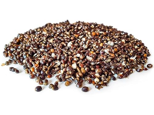 Tigernuessekaufen.de Hanfsamen Angelfertig 20KG | Karpfen Futter Tigernuessekaufen.de Hanfsamen Angelfertig 20KG | Karpfen Futter von Tijgernotenkopen.nl