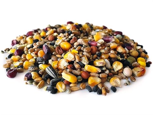 Tigernuessekaufen.de Taubenfutter 20KG | Karpfen Futter Tigernuessekaufen.de Taubenfutter 20KG | Karpfen Futter von Tijgernotenkopen.nl
