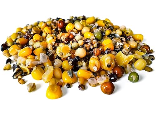 Tigernuessekaufen.de Taubenfutter Angelfertig 5KG | Karpfen Futter Tigernuessekaufen.de Taubenfutter Angelfertig 5KG | Karpfen Futter von Tijgernotenkopen.nl