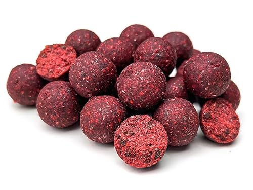 Tijgernotenkopen.nl Bloodworm Halibut Boilies 2,5KG | Karpfen Futter Tijgernotenkopen.nl Bloodworm Halibut Boilies 2,5KG | Karpfen Futter von Tijgernotenkopen.nl