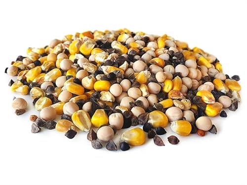 Tijgernotenkopen.nl Ultimate Partikel Mix 2,5KG | Karpfen Futter Tijgernotenkopen.nl Ultimate Partikel Mix 2,5KG | Karpfen Futter von Tijgernotenkopen.nl