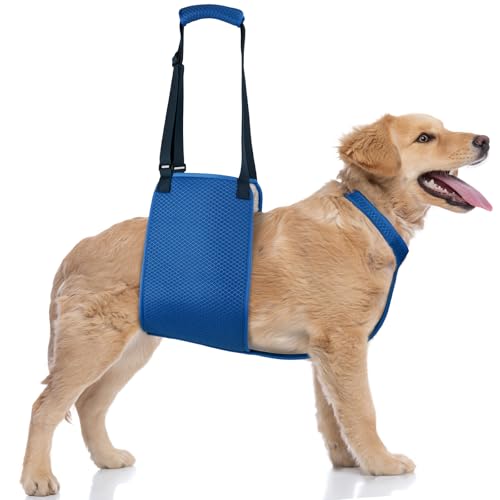 Verstellbares Hundegeschirr zum Heben, Hundetuch für XLarge Hunde, Liftunterstützung und Reha-Geschirr für schwache Hinterbeine Verstellbares Hundegeschirr zum Heben, Hundetuch für XLarge Hunde, Liftunterstützung und Reha-Geschirr für schwache Hinterbeine von Tikibest