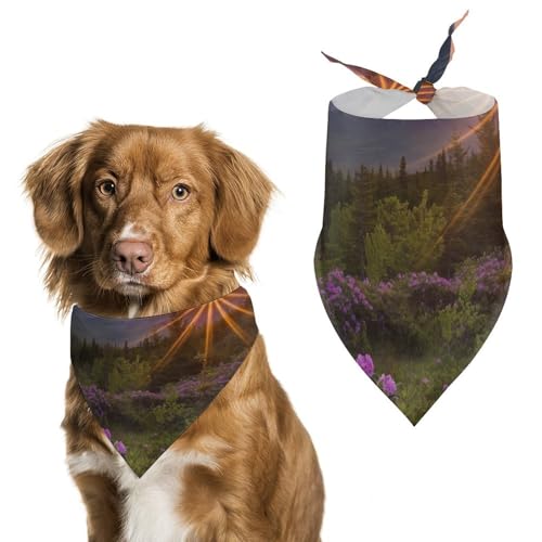 Hund Bandanas Berglandschaft Sonnenaufgang Und Lila Blumen Hundeschal Latztuch Für Haustiere Large: 70 * 30 cm von Tilivyx