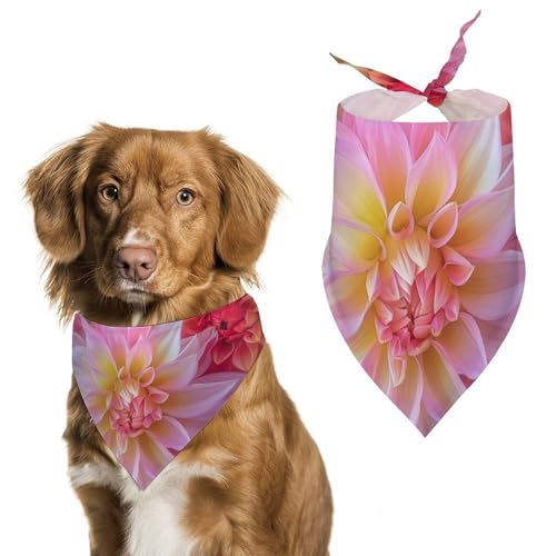 Hund Bandanas Farbenfrohe Dahlienblüten Blumen Hundeschal Latztuch Für Haustiere Large: 70 * 30 cm von Tilivyx