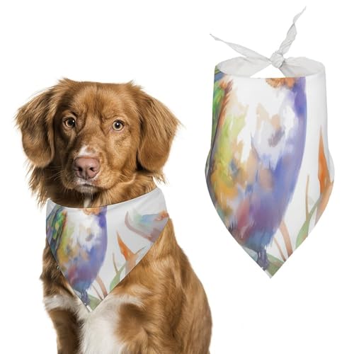 Hund Bandanas Kolibri Niedlicher Vogel Hundeschal Latztuch Für Haustiere Large: 70 * 30 cm Hund Bandanas Kolibri Niedlicher Vogel Hundeschal Latztuch Für Haustiere Large: 70 * 30 cm von Tilivyx
