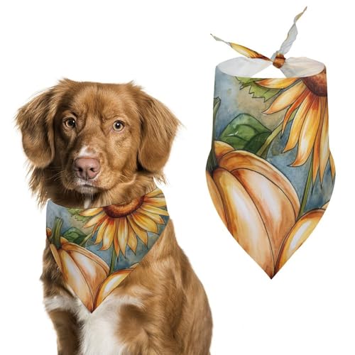 Hund Bandanas Kürbisse Und Sonnenblumen Herbst Hundeschal Latztuch Für Haustiere Large: 70 * 30 cm von Tilivyx