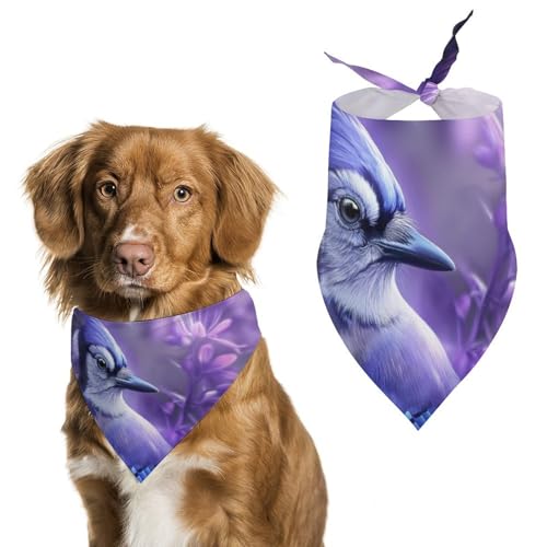 Hund Bandanas Lila Blumen Und Vogel Hundeschal Latztuch Für Haustiere Large: 70 * 30 cm Hund Bandanas Lila Blumen Und Vogel Hundeschal Latztuch Für Haustiere Large: 70 * 30 cm von Tilivyx