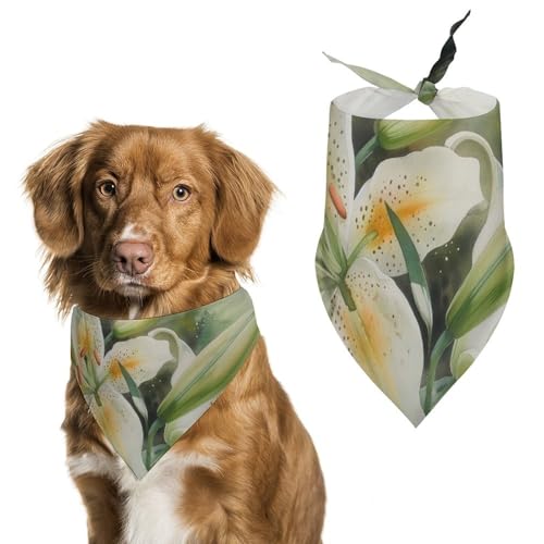 Hund Bandanas Lilie Blumen Aquarell Hundeschal Latztuch Für Haustiere Large: 70 * 30 cm Hund Bandanas Lilie Blumen Aquarell Hundeschal Latztuch Für Haustiere Large: 70 * 30 cm von Tilivyx
