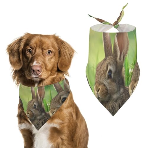 Hund Bandanas Niedliche Kaninchen Ostern Hase Gras Hundeschal Latztuch Für Haustiere Large: 70 * 30 cm von Tilivyx