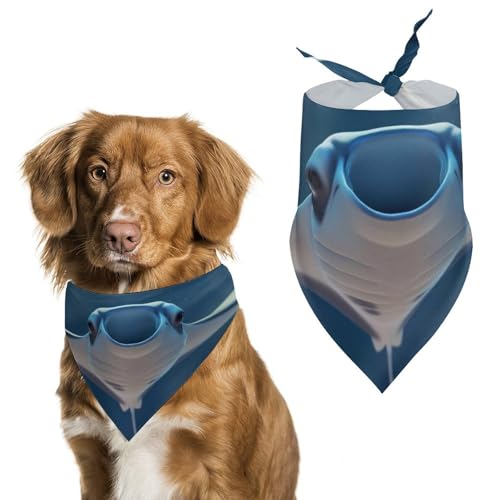 Hund Bandanas Niedlicher Manta-Rochen Hundeschal Latztuch Für Haustiere Large: 70 * 30 cm von Tilivyx