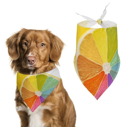 Hund Bandanas Regenbogen Zitrone Hundeschal Latztuch Für Haustiere Large: 70 * 30 cm Hund Bandanas Regenbogen Zitrone Hundeschal Latztuch Für Haustiere Large: 70 * 30 cm von Tilivyx