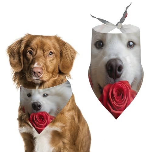 Hund Bandanas Samojedenhund Mit Roter Rose Hundeschal Latztuch Für Haustiere Large: 70 * 30 cm Hund Bandanas Samojedenhund Mit Roter Rose Hundeschal Latztuch Für Haustiere Large: 70 * 30 cm von Tilivyx