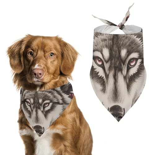 Hund Bandanas Tier Wolf Rose Blumen Hundeschal Latztuch Für Haustiere Large: 70 * 30 cm von Tilivyx
