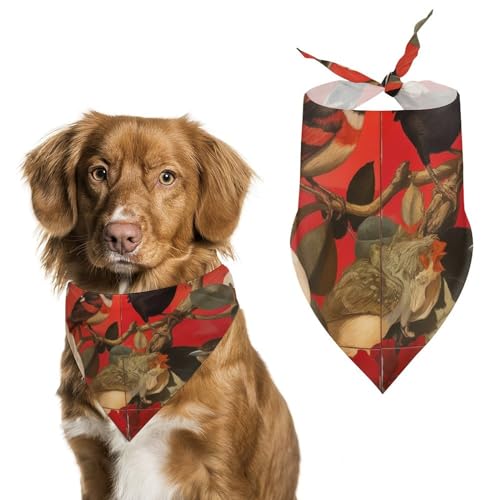 Hund Bandanas Vögel Und Blumen Muster Hundeschal Latztuch Für Haustiere Large: 70 * 30 cm Hund Bandanas Vögel Und Blumen Muster Hundeschal Latztuch Für Haustiere Large: 70 * 30 cm von Tilivyx