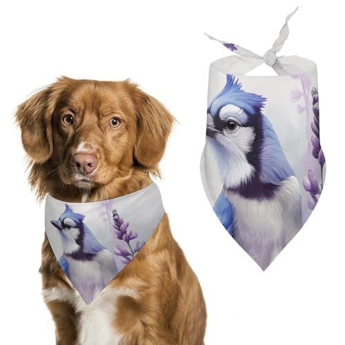 Hund Bandanas Vogel Und Lilafarbene Blumen Hundeschal Latztuch Für Haustiere Large: 70 * 30 cm von Tilivyx