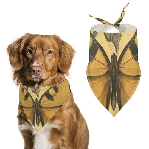 Hundehalstuch, Schmetterlings-Motiv, für Haustiere, Größe L: 70 x 30 cm, Gelb Hundehalstuch, Schmetterlings-Motiv, für Haustiere, Größe L: 70 x 30 cm, Gelb von Tilivyx