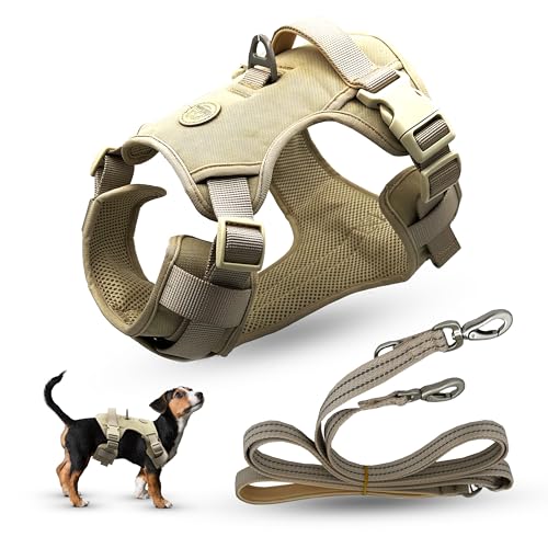 Hundegeschirr, kein Ziehen, Haustiergeschirr mit 2 Leinenclips, verstellbar, weich gepolstert, reflektierende Leine mit leicht zu kontrollierendem Griff für alle Hunde, Knochen, Größe M Hundegeschirr, kein Ziehen, Haustiergeschirr mit 2 Leinenclips, verstellbar, weich gepolstert, reflektierende Leine mit leicht zu kontrollierendem Griff für alle Hunde, Knochen, Größe M von TilliTubbi