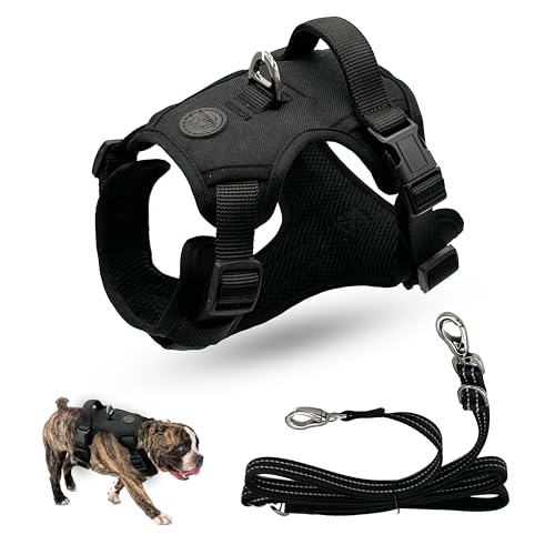 Hundegeschirr, kein Ziehen, Haustiergeschirr mit 2 Leinenclips, verstellbar, weich gepolstert, reflektierende Leine mit leicht zu kontrollierendem Griff für alle Hunde, Schwarz, Größe XS Hundegeschirr, kein Ziehen, Haustiergeschirr mit 2 Leinenclips, verstellbar, weich gepolstert, reflektierende Leine mit leicht zu kontrollierendem Griff für alle Hunde, Schwarz, Größe XS von TilliTubbi