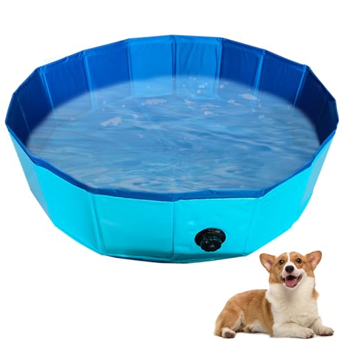 Timasser Katzenpool Mit Fischen, Katzenpool kKatzen Pool Katzen Pool Wassermatte Katze Katzen Wassermatte Katzen Wassermatte Katzen Wasserspielzeug (Blau-100 * 30cm) von Timasser