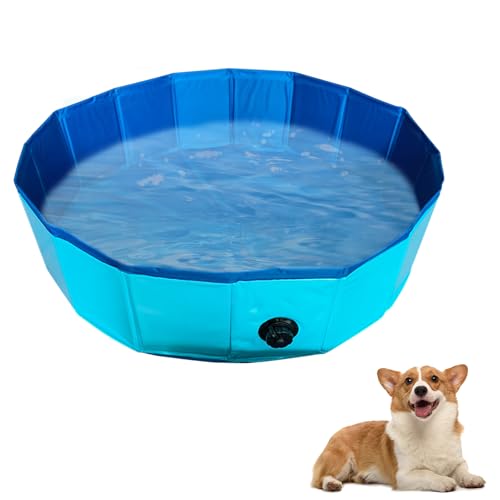 Timasser Katzenpool Mit Fischen, Katzenpool kKatzen Pool Katzen Pool Wassermatte Katze Katzen Wassermatte Katzen Wassermatte Katzen Wasserspielzeug (Blau-40 * 15cm) von Timasser