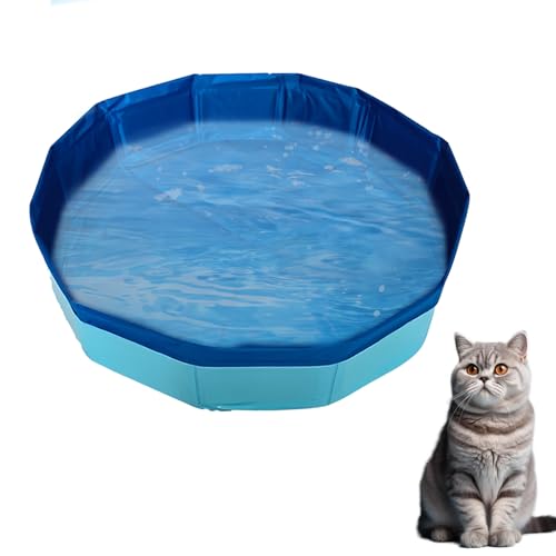 Timasser Katzenpool Mit Fischen, Katzenpool kKatzen Pool Katzen Pool Wassermatte Katze Katzen Wassermatte Katzen Wassermatte Katzen Wasserspielzeug (Blau-5 * 8cm) von Timasser