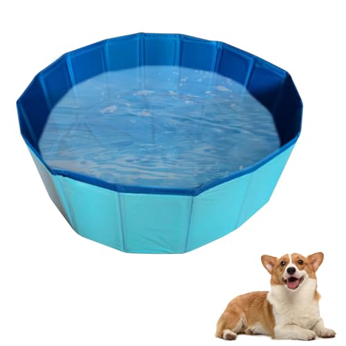Timasser Katzenpool Mit Fischen, Katzenpool kKatzen Pool Katzen Pool Wassermatte Katze Katzen Wassermatte Katzen Wassermatte Katzen Wasserspielzeug (Blau-60 * 20cm) von Timasser