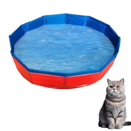 Timasser Katzenpool Mit Fischen, Katzenpool kKatzen Pool Katzen Pool Wassermatte Katze Katzen Wassermatte Katzen Wassermatte Katzen Wasserspielzeug (Rot-30 * 10cm) von Timasser