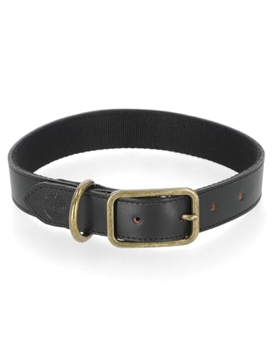 Timberland Hundehalsband aus Leder, Robustes Leder, für kleine, mittelgroße und große Hunde (25,4 cm – 43,2 cm Halsumfang) von Timberland