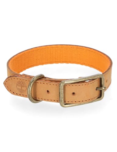 Timberland Hundehalsband aus Leder, Robustes Leder, für kleine, mittelgroße und große Hunde (25,4 cm – 43,2 cm Halsumfang) von Timberland