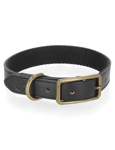 Timberland Hundehalsband aus Leder, Robustes Leder, für kleine, mittelgroße und große Hunde (25,4 cm – 43,2 cm Halsumfang) von Timberland