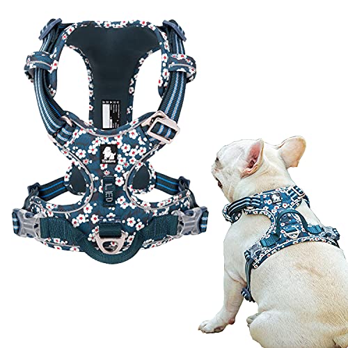 Tineer Blumenmuster No-Pull Hundegeschirr Reflektierendes Nylon Verstellbare Weiche, gepolsterte Weste Geschirr Training Einfacher Steuergriff für kleine mittelgroße Hunde (XS Brust: 69-81cm, Blau) von Tineer