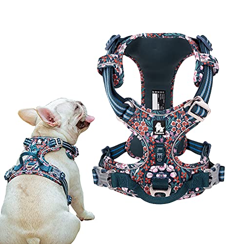 Tineer Blumenmuster No-Pull Hundegeschirr Reflektierendes Nylon Verstellbare Weiche, gepolsterte Weste Geschirr Training für kleine mittelgroße Hunde (S Brust: 43-56cm, Blau Rot) von Tineer