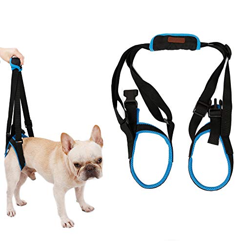 Tineer Dog Lift-Auffanggurt für hintere Beine Pet-Auffanggurt Hinteres Schleuderhilfe Schwache Beine Aufstehen Stützgurt für Arthritis-Rehabilitation-Hunde (XL) von Tineer