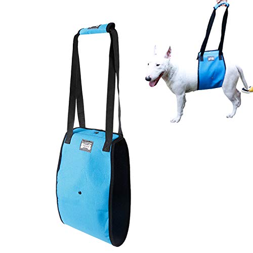 Tineer Dog Lift Harness Stützgurt für ältere oder behinderte Hunde - Stützgurt Hinten Hilfe Schwache Beine Aufstehen, Gehen, Treppensteigen - Gehender Hilfsgurt für mittelgroße Hunde (M, Blau) von Tineer
