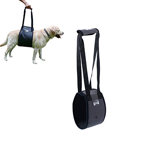 Tineer Dog Lift Harness Stützgurt für ältere oder behinderte Hunde - Stützgurt Hinten Hilfe Schwache Beine Aufstehen, Gehen, Treppensteigen - Gehender Hilfsgurt für mittelgroße Hunde (M, Grau) von Tineer