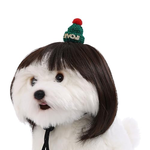 TingHaoO Bequeme Haustier-Perücke, Haarmütze, Festival-Requisiten, Kostüm-Hut für kleine Hunde, Weihnachtsmotto-Event, Haustier-Cosplay-Zubehör TingHaoO Bequeme Haustier-Perücke, Haarmütze, Festival-Requisiten, Kostüm-Hut für kleine Hunde, Weihnachtsmotto-Event, Haustier-Cosplay-Zubehör von TingHaoO