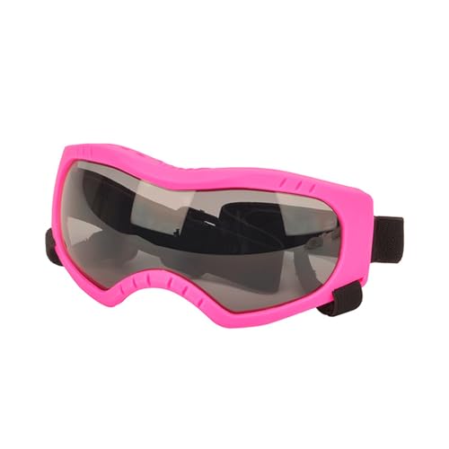 TingHaoO Hundebrille, Augenschutz, winddicht, mit verstellbarem Riemen, für Outdoor-Umgebungen TingHaoO Hundebrille, Augenschutz, winddicht, mit verstellbarem Riemen, für Outdoor-Umgebungen von TingHaoO