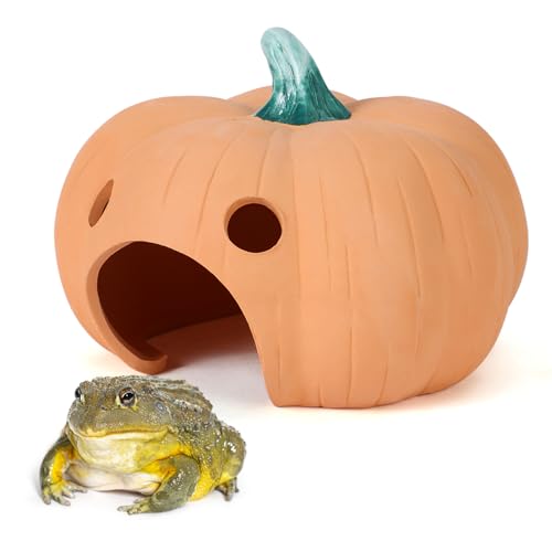 Tino Kino Frosch- und Krötenhaus, 20,3 x 13,9 cm, Terrakotta, Krötenhaus, Reptilien-Frosch, Krötenhaus für draußen, Garten, Aquarium, Versteck für Kröte, Frosch, Schildkröte, Eidechse, Kürbis, in Tino Kino Frosch- und Krötenhaus, 20,3 x 13,9 cm, Terrakotta, Krötenhaus, Reptilien-Frosch, Krötenhaus für draußen, Garten, Aquarium, Versteck für Kröte, Frosch, Schildkröte, Eidechse, Kürbis, in von Tino Kino