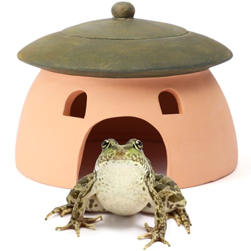 Tino Kino Frosch- und Krötenhaus, 20,3 x 15,2 cm, Krötenhaus für Außengarten, Reptilienhöhle, Rot, Keramik, kleine Reptilienhöhle, Versteck für Reptilien, Häuser und Höhlen, Schlangenkröte, Frosch, Tino Kino Frosch- und Krötenhaus, 20,3 x 15,2 cm, Krötenhaus für Außengarten, Reptilienhöhle, Rot, Keramik, kleine Reptilienhöhle, Versteck für Reptilien, Häuser und Höhlen, Schlangenkröte, Frosch, von Tino Kino
