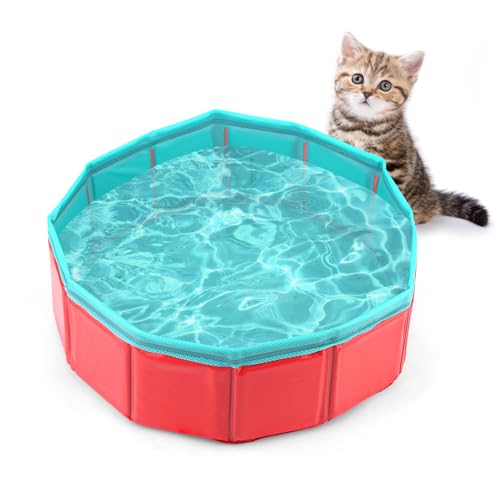 Tinoaly Katzenpool-Spielzeug, 30 x 10 cm Faltbarer Haustier-Schwimmpool Fischglas-Katzenspielzeug Interaktives Haustier-Spielzeug (Fischspielzeug Nicht im Lieferumfang Enthalten) von Tinoaly