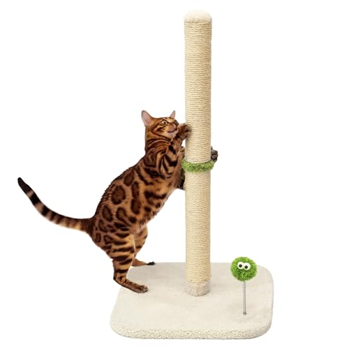 TINYBEAST 86,4 cm hoher Katzenkratzbaum für Indoor-Katzen, Katzenkratzbaum mit Plüschspielzeug Ball für große Katzen und Kätzchen, Premium-Sisal-Kratzbaum mit verstärkter stabiler Basis (Beige) von TinyBeast