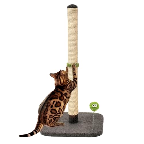 TINYBEAST 86,4 cm hoher Katzenkratzbaum für Indoor-Katzen, Katzenkratzbaum mit Plüschtierball für große Katzen und Kätzchen, Premium-Sisal-Kratzbaum mit verstärkter stabiler Basis (grau) von TinyBeast