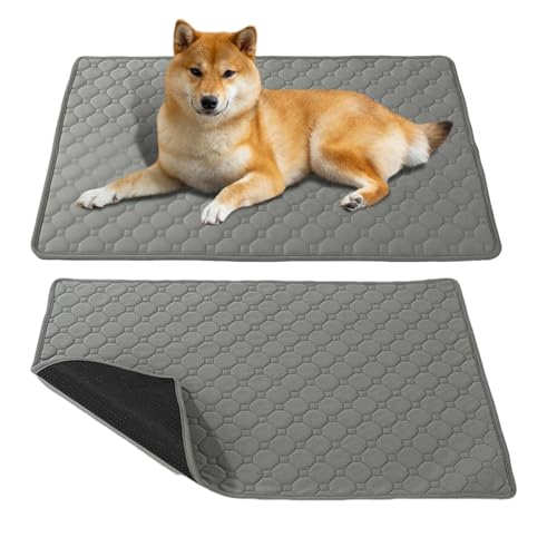 Hundetoiletten Für Hunde - Große Stubenreinheit Unterlagen Für Hunde - Wiederverwendbare Urinmatte Für Haustiere Training Indoor Outdoor Reisen Waschen Hundetoiletten Für Hunde - Große Stubenreinheit Unterlagen Für Hunde - Wiederverwendbare Urinmatte Für Haustiere Training Indoor Outdoor Reisen Waschen von Tioheam