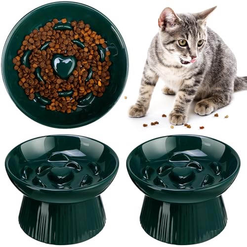 Tioncy 2 Stück Keramik-Napf für langsames Fressen, erhöhtes Katzenfutter, erhöhtes Trockenfutter und Wasser, leicht zu reinigen, hoher Rand, für kleine Hunde, spülmaschinenfest (dunkelgrün) Tioncy 2 Stück Keramik-Napf für langsames Fressen, erhöhtes Katzenfutter, erhöhtes Trockenfutter und Wasser, leicht zu reinigen, hoher Rand, für kleine Hunde, spülmaschinenfest (dunkelgrün) von Tioncy