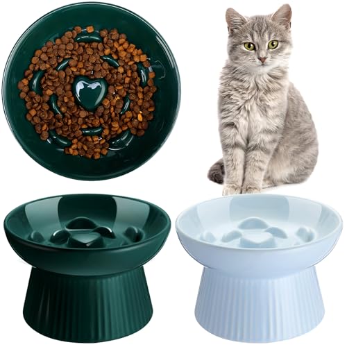 Tioncy Erhöhter Futternapf für Katzen, Keramik, erhöht, kein Verschütten, hoher Rand für trockenes Nassfutter und Wasser, leicht zu reinigen, spülmaschinenfest (Dunkelgrün, Blau), 2 Stück von Tioncy