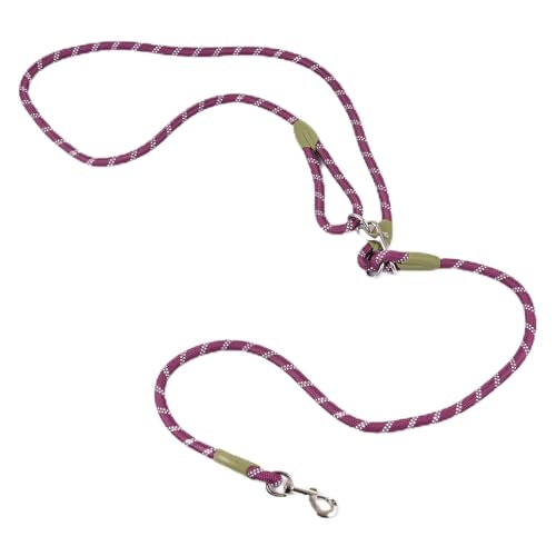 Hundeleine, Nylon Haustiere Training Gehen Sie die Leine mit reflektierenden Nähen Einstellbarer Crossbody Hundeleine für kleine mittelgroßen großen Hunden, Joggen, Laufen (A) von Tissting