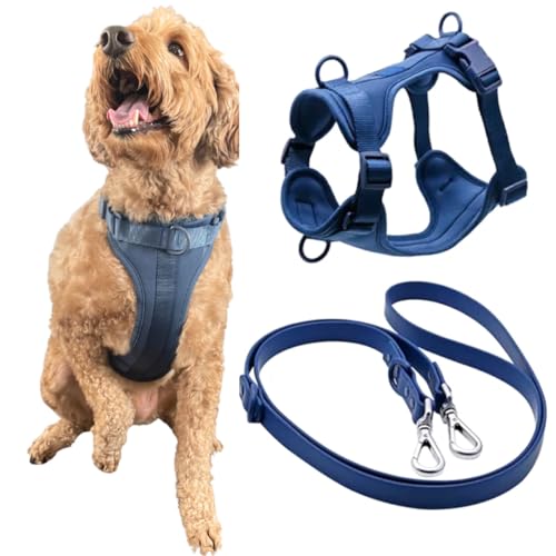 Tito's Closet Hundegeschirr zum Spazierengehen – inklusive bequemer Passform, strapazierfähiger Leine und praktischer Kotbeutel-Tragetasche, Blau, Größe M Tito's Closet Hundegeschirr zum Spazierengehen – inklusive bequemer Passform, strapazierfähiger Leine und praktischer Kotbeutel-Tragetasche, Blau, Größe M von Tito's Closet