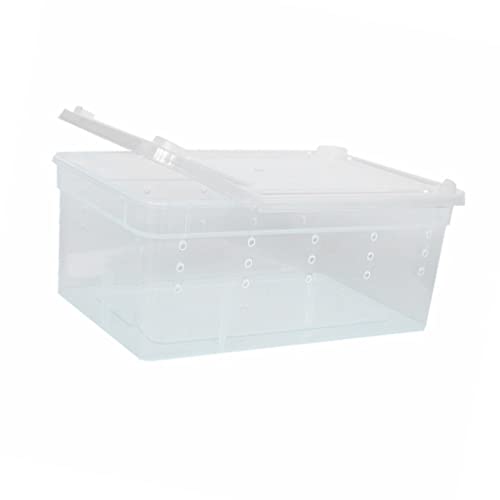 Tiuimk H3 Transportbox für Terrarium, Aquarium, Haustier, solide geformte Struktur, vollständige Belüftung, geeignet für Kleintiere und Reptilien, leicht von Tiuimk