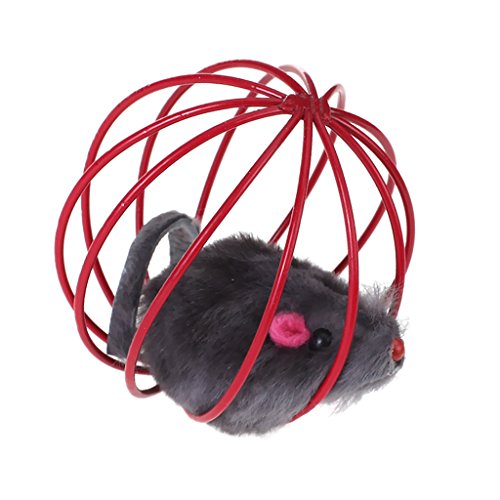 Tiuimk Katzenspielzeug – Käfig-Maus-Design, Rasselglocke innen, interaktiver Spaß für Ihr Haustier Katze Tiuimk Katzenspielzeug – Käfig-Maus-Design, Rasselglocke innen, interaktiver Spaß für Ihr Haustier Katze von Tiuimk