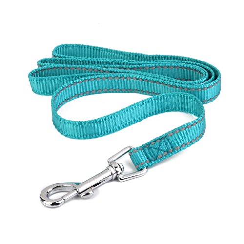 Tiuimk Reflektierende Hundeleine - Blau-Grün XL, Metallhaken Tiuimk Reflektierende Hundeleine - Blau-Grün XL, Metallhaken von Tiuimk